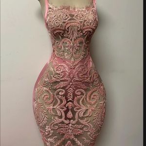 Midi mesh detailed Embroider pink Birthday Dress
